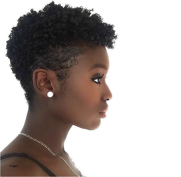 African American Short Natural Hairstyles 2018 Short Hairstyles Awesome Short African American Natural