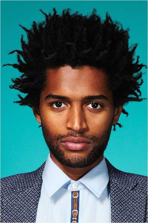 Black Men Hairstyles Twists Afro Twist Hairstyles