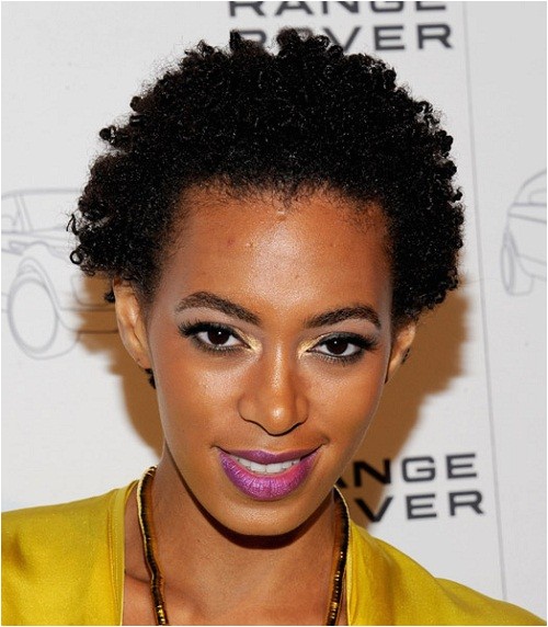 Black Natural Hairstyles 2012 Fashion Review Short Haircut for Black Women 2012