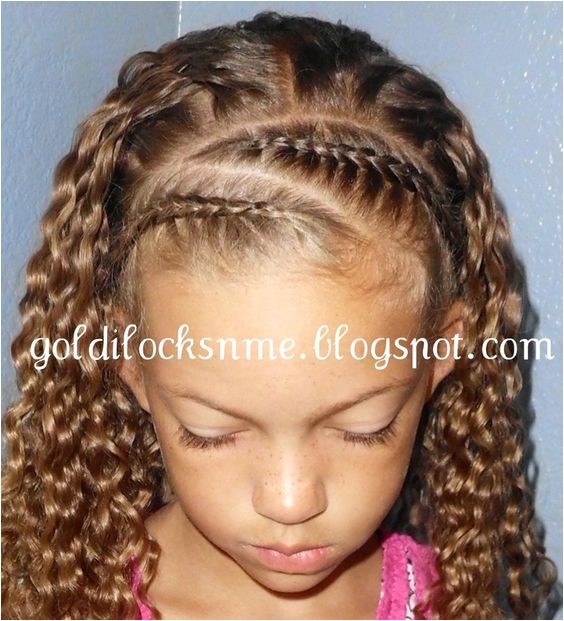 Braided Hairstyles for Mixed Hair Braided Front the Hair Says It