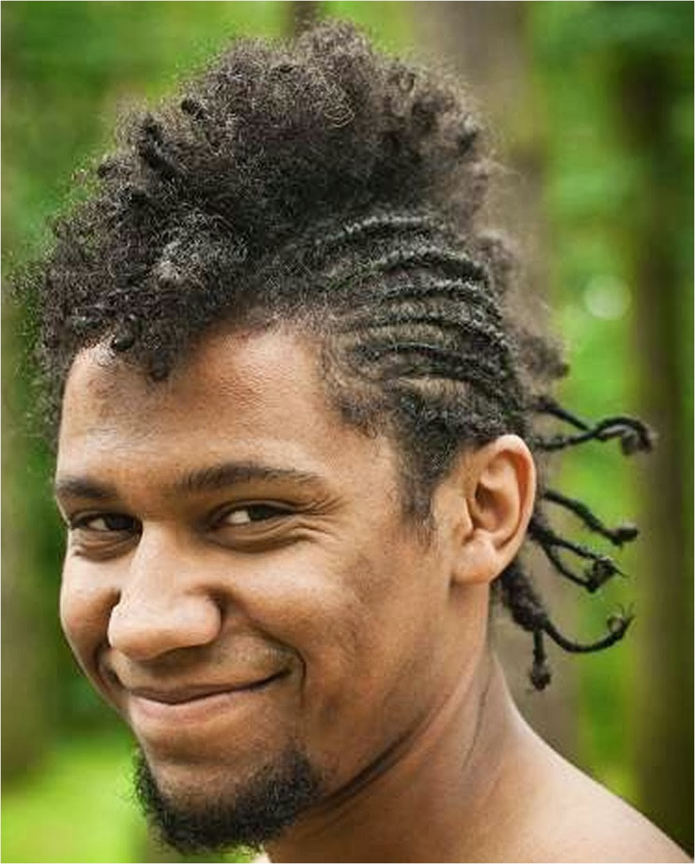 Braided Mohawk Hairstyles for Men 2014 Inventive Mohawk Hairstyles for Black Men