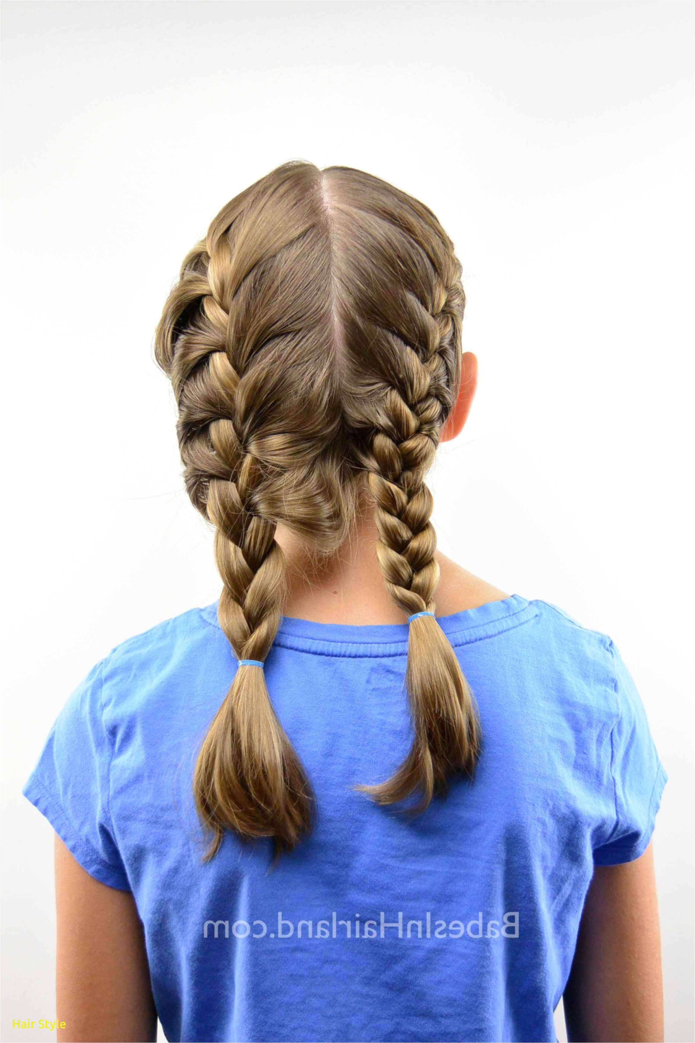 Braided Pigtails Hairstyle Fresh Pigtail Braids Short Hair