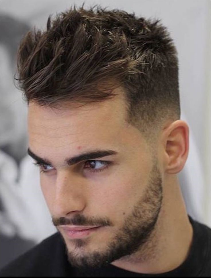 Cheap Haircuts for Men Near Me Cheap Mens Haircut Near Me