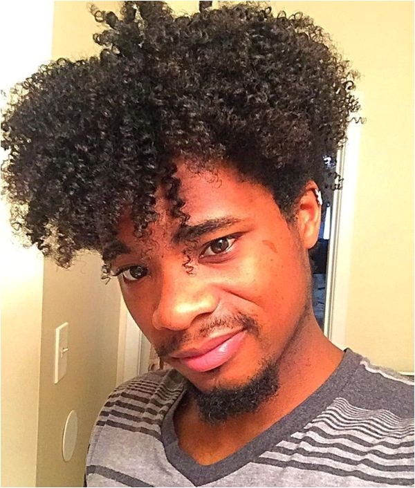 Curly Hairstyles for Black Males Black Guy Curly Hairstyles Black Mens Curly Haircuts