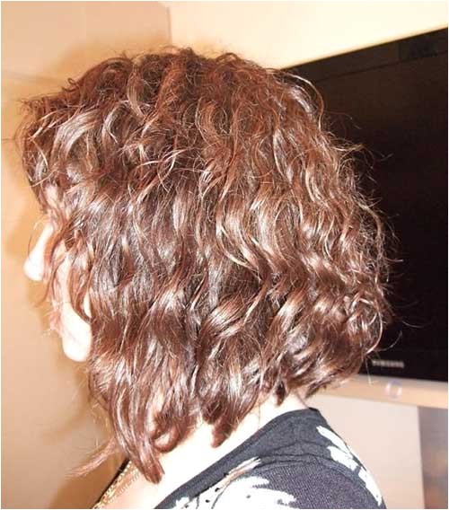 Curly Inverted Bob Haircut 20 Good Haircuts for Medium Curly Hair