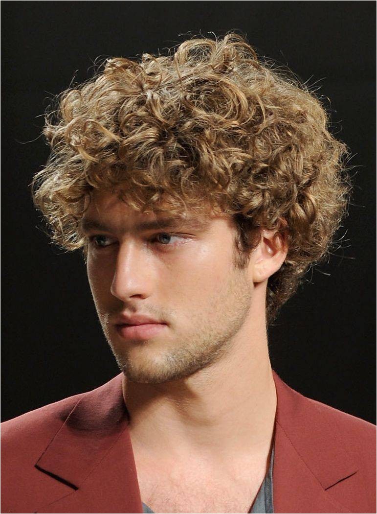 Curly Mens Hairstyles Short Curly Hairstyles for Men