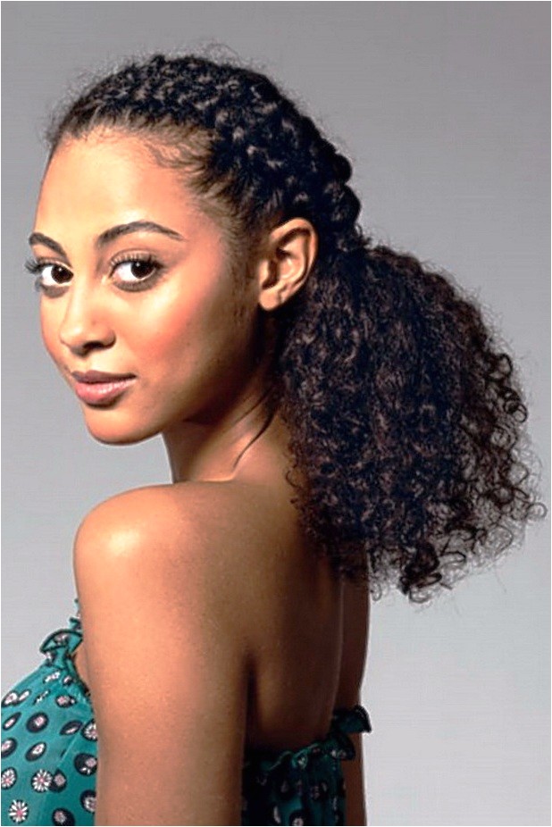 Cute Twist and Curls Hairstyles 12 Best Ponytail Hairstyles for Black Women with Black Hair