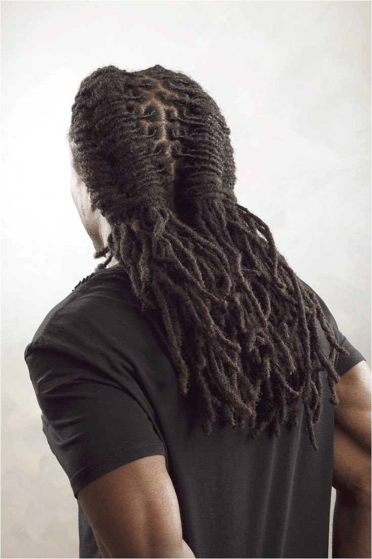 Dreadlock Hairstyle Ideas Men Dreadlock Braids Hairstyles