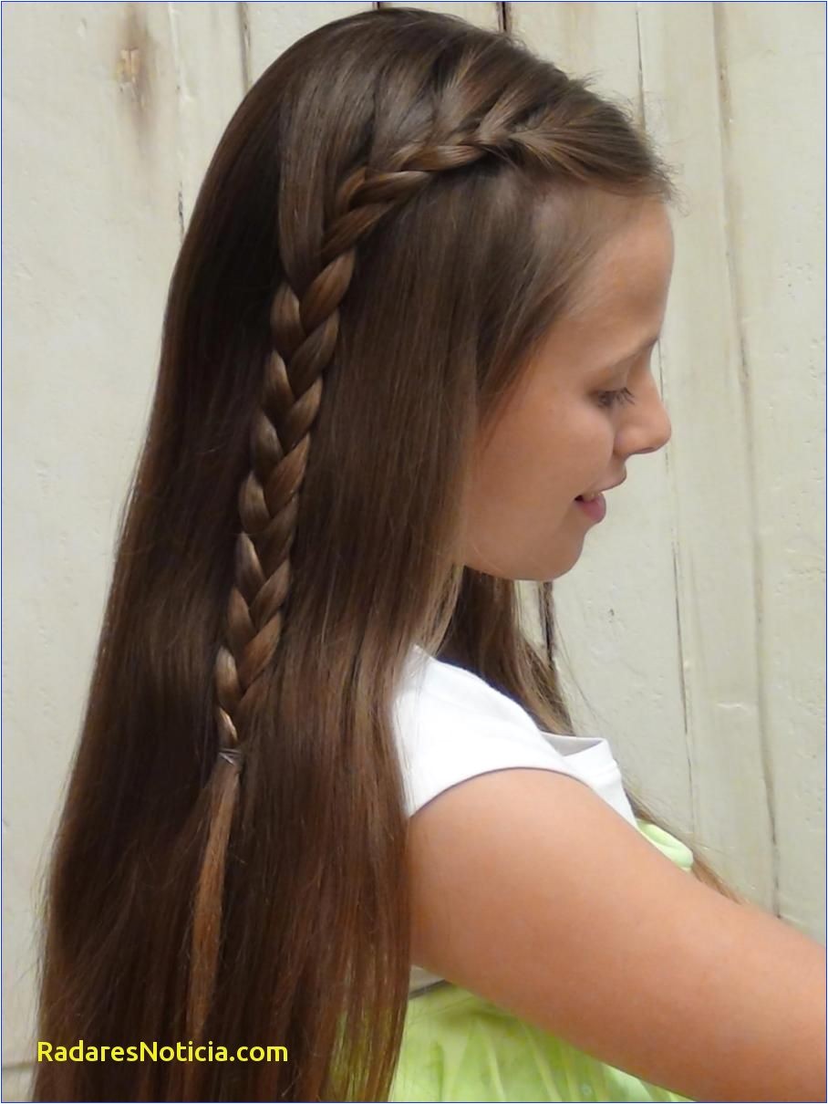 French Braid Hairstyles with Extensions Braided Hairstyles for Grey Hair Grey Hair Extensions as Regards