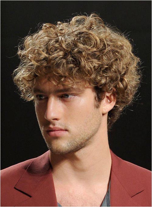 Hairstyles for Men with Curly Wavy Hair Best Long Hairstyles for Men 2012 2013