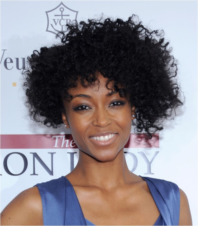 Hairstyles for Naturally Curly African American Hair Natural Short Curly Hairstyle