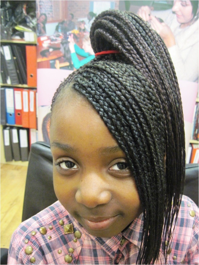 Hairstyles with Braids for Black People Black People Hairstyles Braids