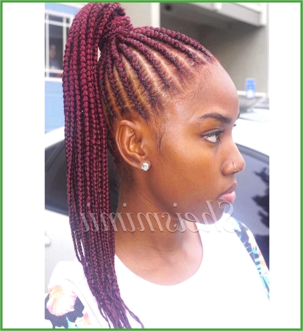 Hairstyles You Can Do with Braids Black Braided Hair Styles