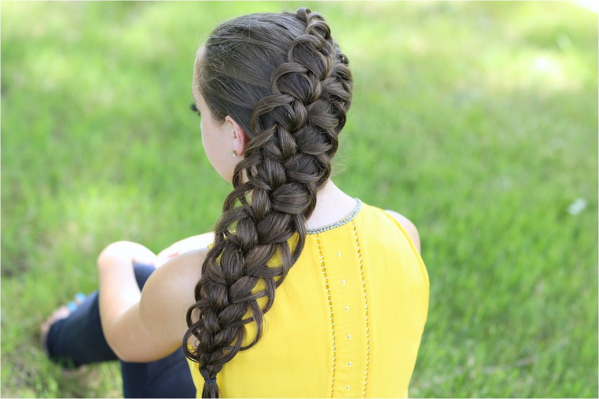 Hard Braid Hairstyles Diagonal French Loop Braid Cute Braid Hairstyles