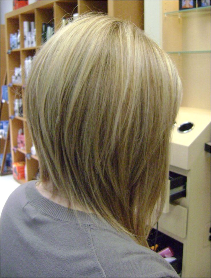 Long Tapered Bob Haircut Long Bob Haircuts Back View