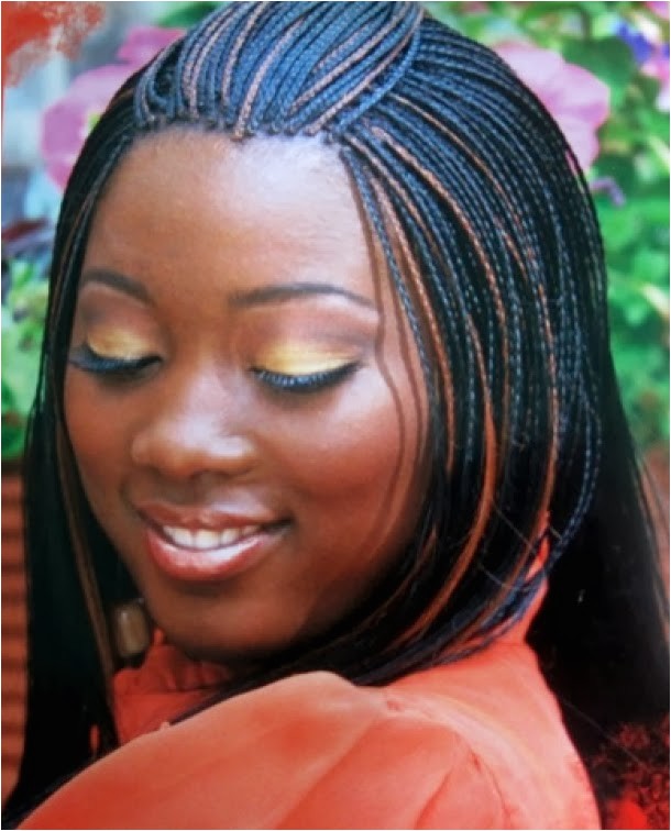 Micro Braids Hairstyles Updos Box Braids & Micro Braids