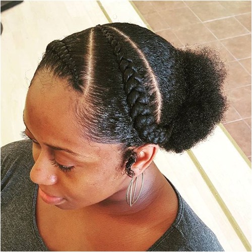 Protective Braid Hairstyles for Natural Hair 45 Easy and Showy Protective Hairstyles for Natural Hair