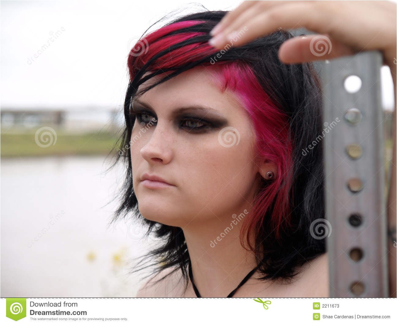 Punk Rock Girl Hairstyles Punk Rock Girl Stock Image Image Of Femininity Vogue