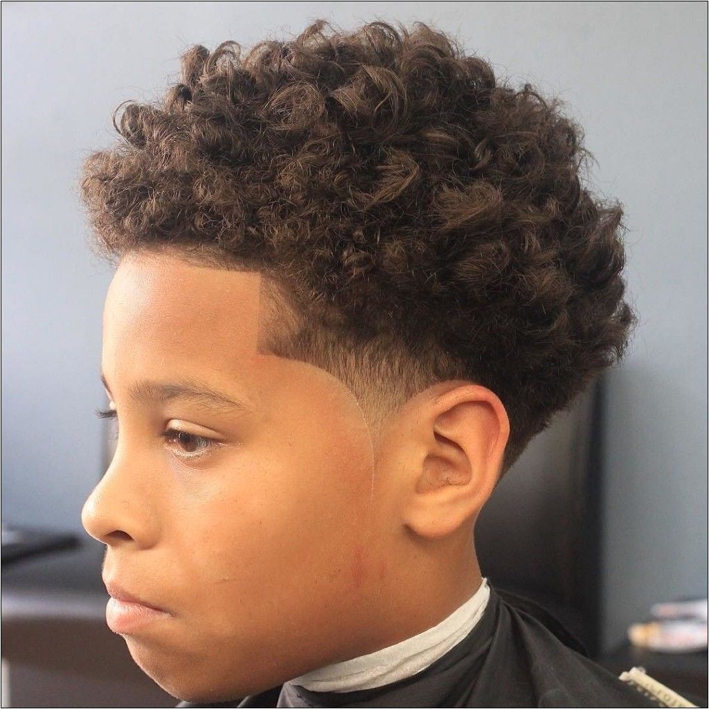 Toddler Boy Curly Hairstyles Little Black Boy Haircuts for Curly Hair