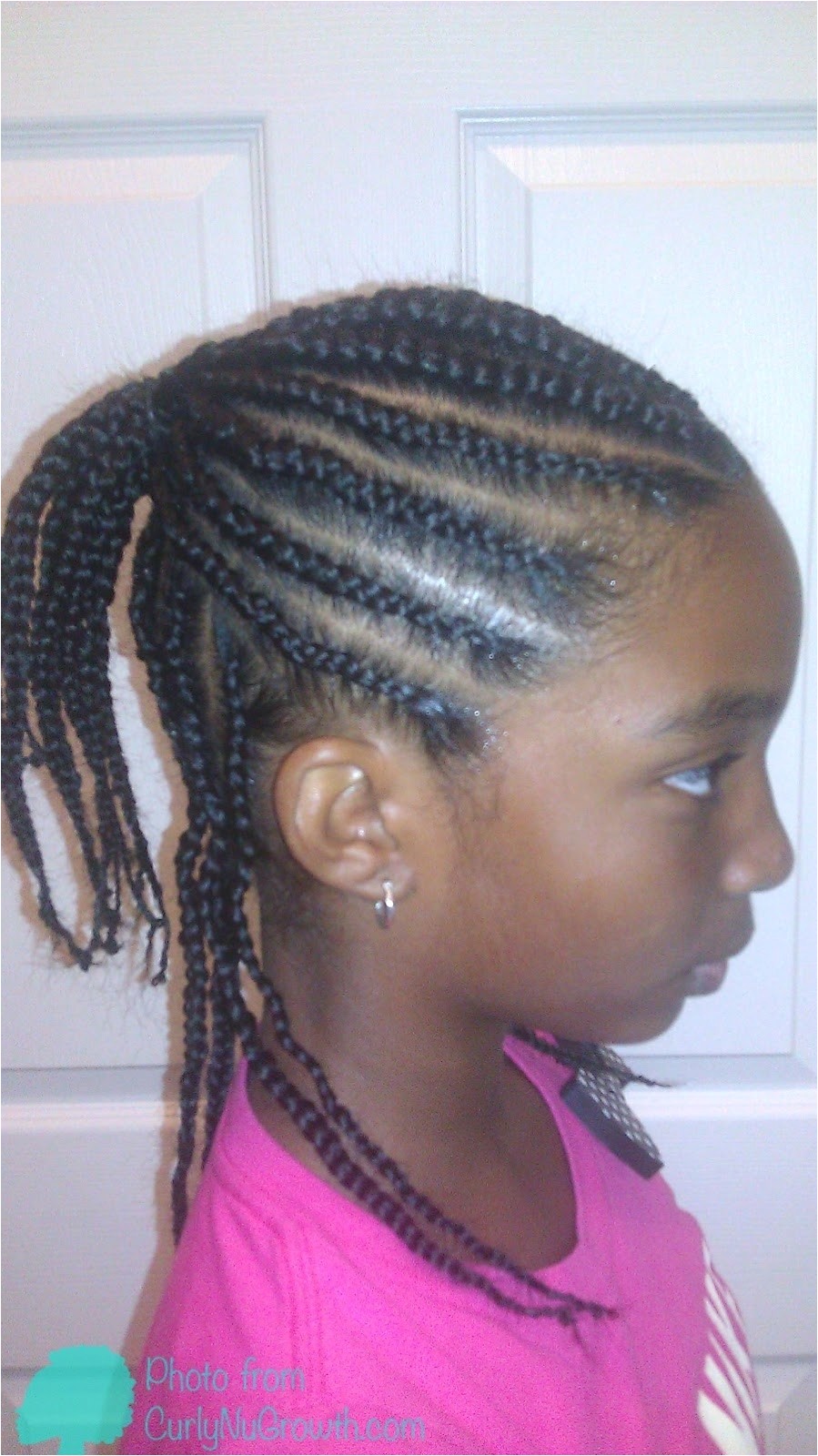 Two Layer Braids Hairstyles Two Layer Braids Hairstyles