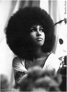 Black Hairstyles 70s 112 Best 70 S Big Hair & Other 70 S Styles Images