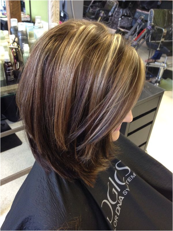 Bob Hairstyles with Highlights and Lowlights Pin by Joanne Mason On Hair What to Do Pinterest