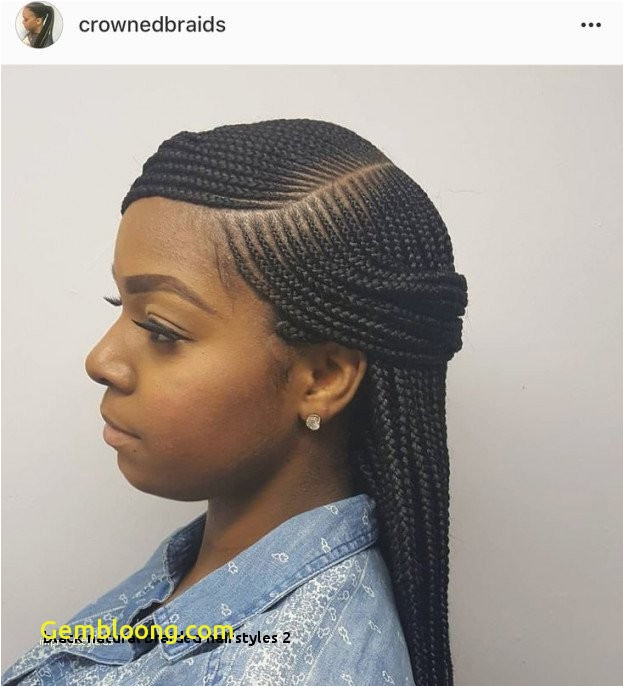 Cute 2 Braid Hairstyles Elegant Hair Braiding Styles for Black Girls – My Cool Hairstyle