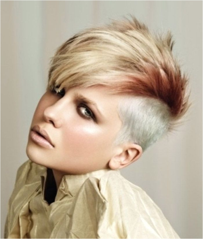 Easy to Do Punk Rock Hairstyles Short Punk Rock Hairstyles for Women Ragan S Hair