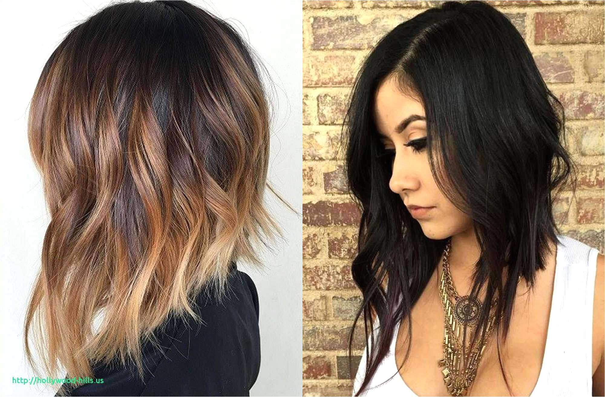 Hairstyles and Color for Short Hair 2019 15 Luxury Haircuts 2019 Female Graph