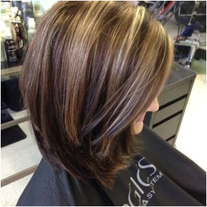 Hairstyles Blonde Ends Platinum Blonde Highlights Superb Cool Types Brown Hair Color