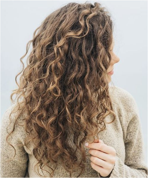 Hairstyles for Curly Hair for Office Best Long Curly Hairstyles 2018 to Make You Pretty and Stylish