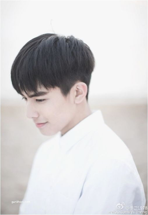 Korean Boy Haircut Best Haircut for asian Hair Awesome Ely Grey Hair Cutting In Respect