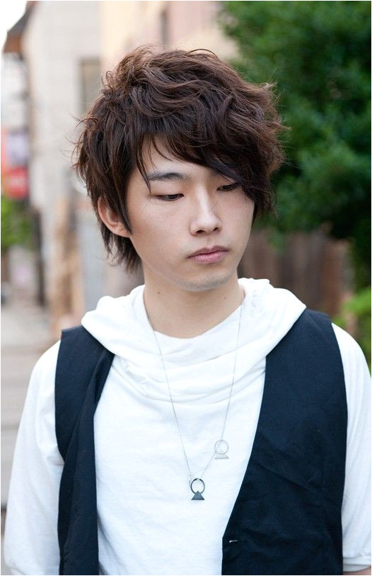 Korean Male Curly Hairstyles Curly Korean Hair Style for Men
