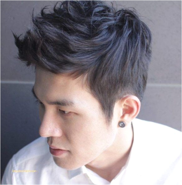 Long asian Hairstyles Male Hairstyles for Long asian Hair Inspirational Beautiful 4 Haircut