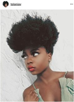 Everyday Hairstyles for Afro Hair 81 Best Natural Hair Styles Images