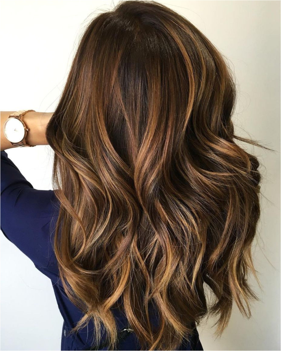 Hairstyles Color and Highlights 2019 60 Hairstyles Featuring Dark Brown Hair with Highlights In 2019