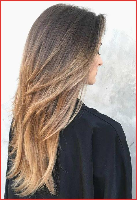 Hairstyles for Long Hair with Color Hair Color Concepts Extraordinary Hair Color Including