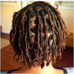 Hairstyles for Starter Dreads 3152 Best Locs Images