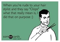Someecards Hairstylist 56 Best Hair Humor Images
