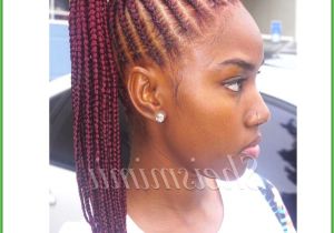 2 Big Braids Hairstyles Black Braided Hair Styles