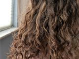 2b Curly Hairstyles Curly Hair Routine for 2b 2c 3a Hair the Holistic Enchilada