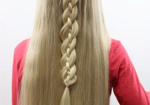 3 Strand Braid Hairstyles Triple Hearts and Braid Babes In Hairland Videos