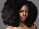 4c Afro Hairstyles Black Love Beautiful Black Women Pinterest