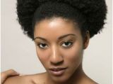 4c Friendly Hairstyles 265 Best 4c Natural Hair Beauties Images On Pinterest