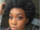 4c Friendly Hairstyles the 31 Best 4c Fro Images On Pinterest In 2019