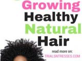 4c Hair Care 2019 1291 Best Natural Hair Images In 2019