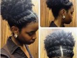 4c Hair Updo Hairstyles 267 Best Natural Hair Updo Images