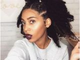 4c Hairstyles for Winter 210 Best Protective Natural Hairstyles Images