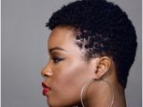 4c Hairstyles Twa 265 Best 4c Twa Images