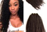 4c Hairstyles with Extensions Malaysian Human Hair Afro Kinky Curly Clip Ins Extension 4b 4c Kinky